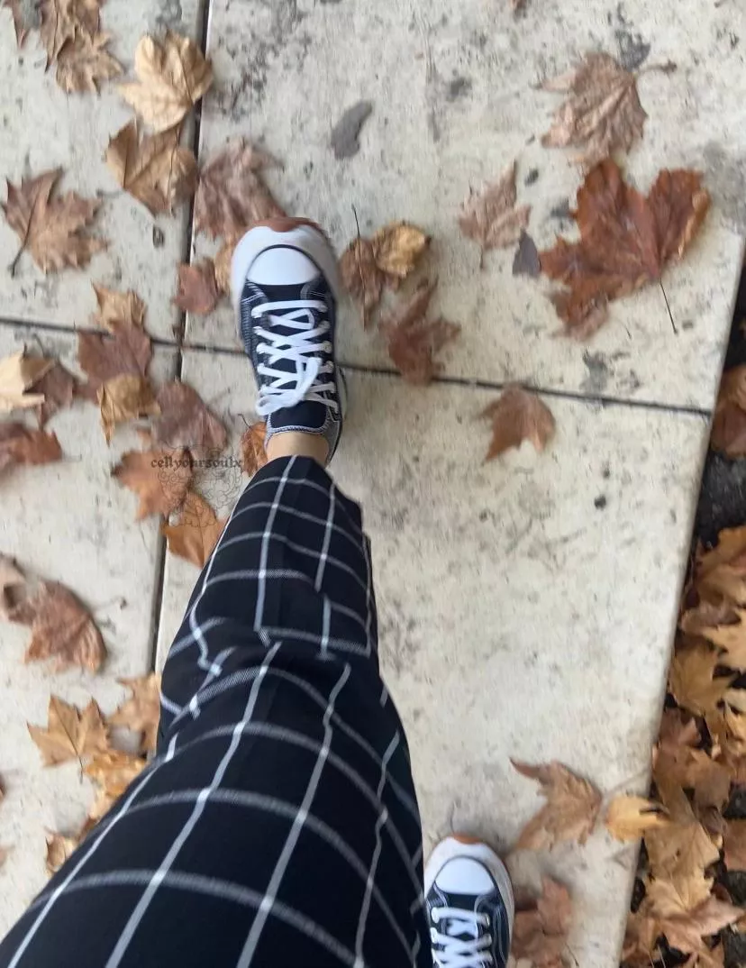 i bet you wish you had a better view of how dirty i’ve gotten these