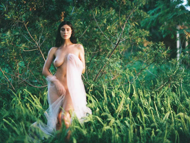 Alejandra | Majestic