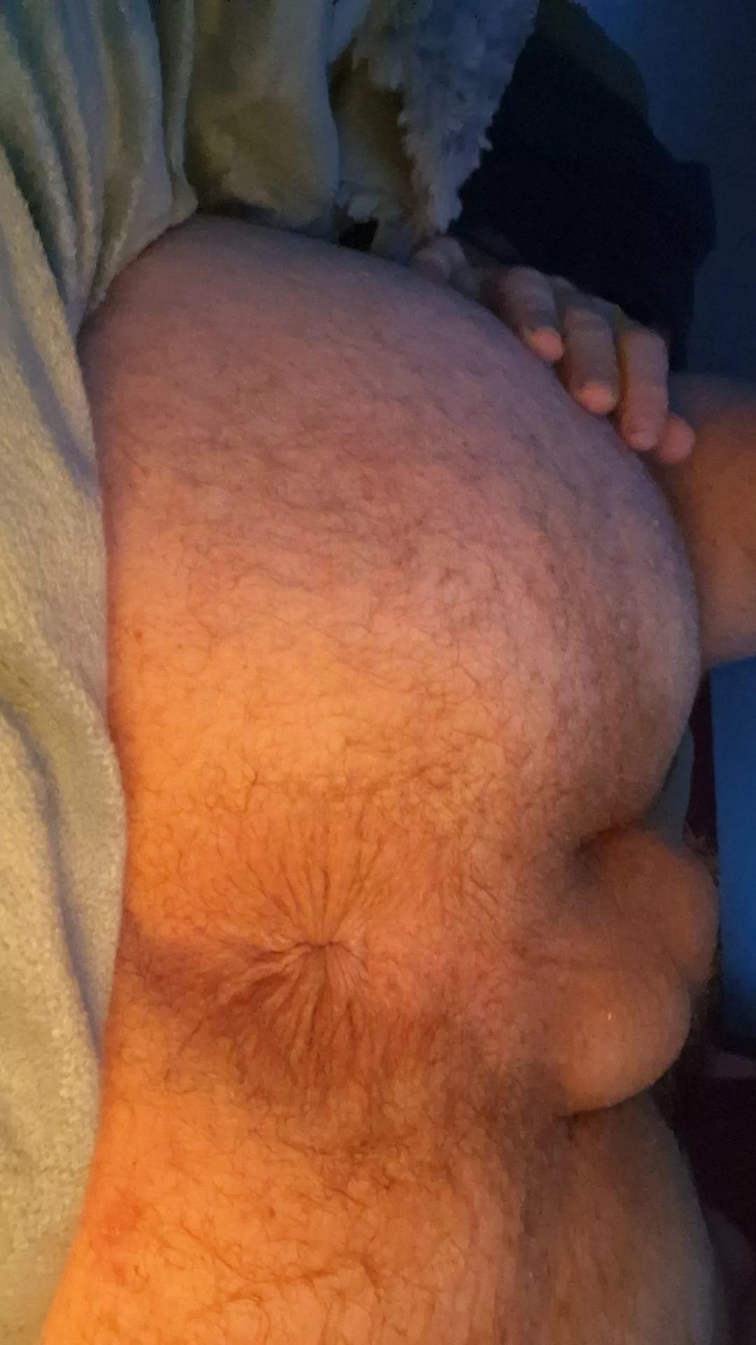 21 (M4A) york premier inn north West hotel 