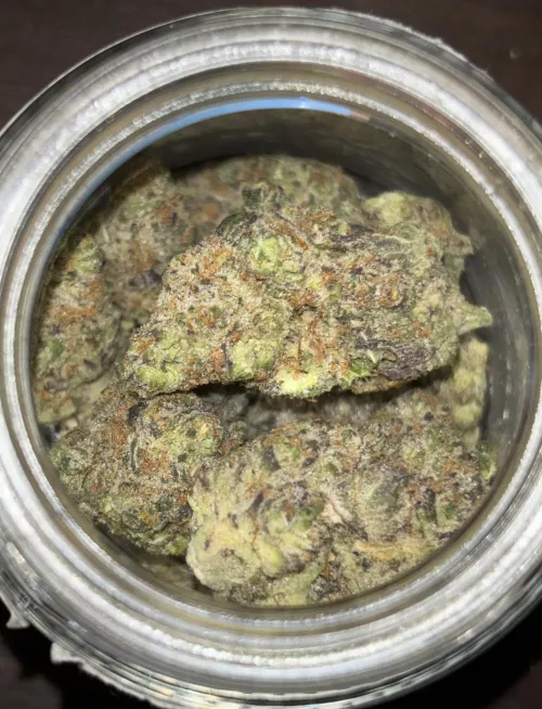 Gobstoppers (Indoor)