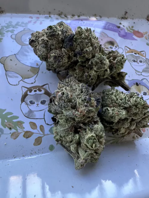 Wedding Crashers - LIT Farms