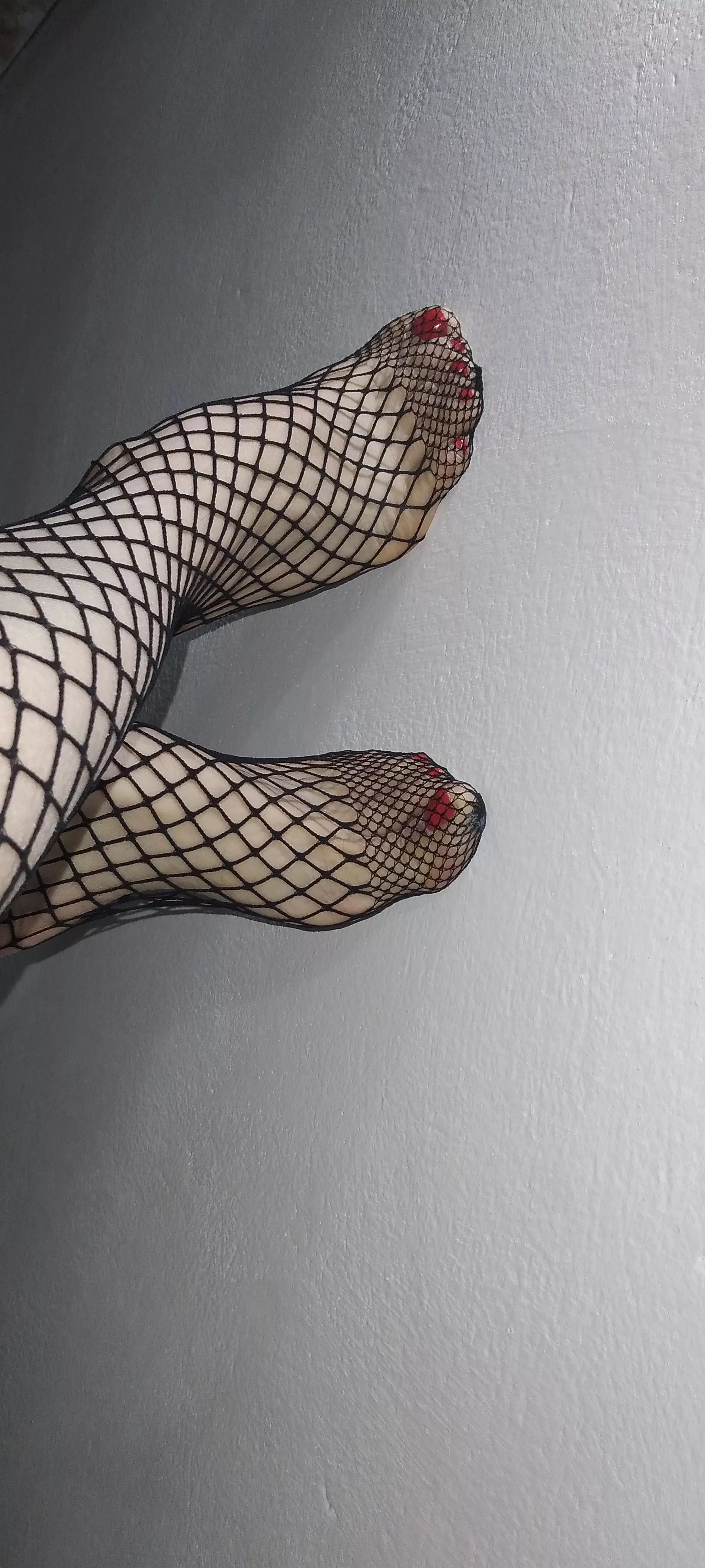 My toes feel like models when wearing fishnet stockings