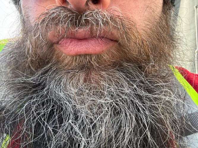 49 [M4f]lookin 4 a friend 4 my beard