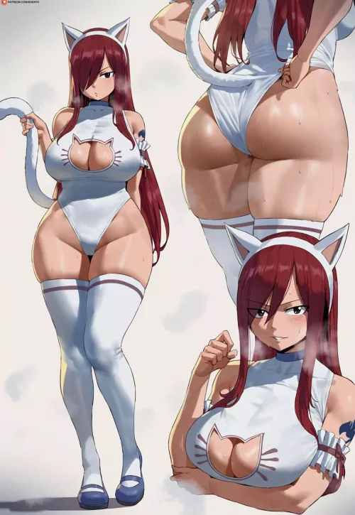 Erza [Fairy Tail] 
