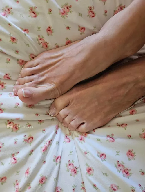 Pink, it's the color of passion - Steven Tyler, Richie Supa & Glen Ballard,  Pink, it's the color of passion - Steven Tyler, Richie Supa & Glen Ballard,