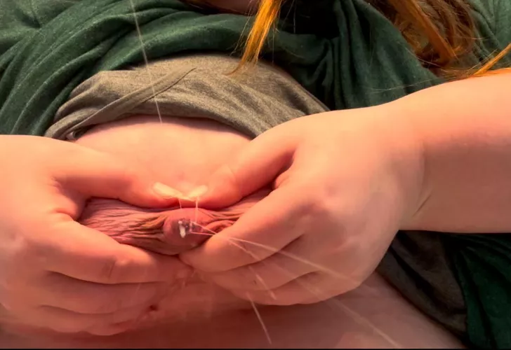 Sweet, sweet milk Sweet, sweet milk