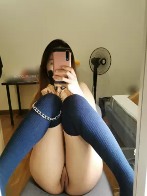 First post here, am I adorable with my choker and leash? ???