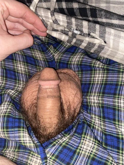 [27] Through the fly