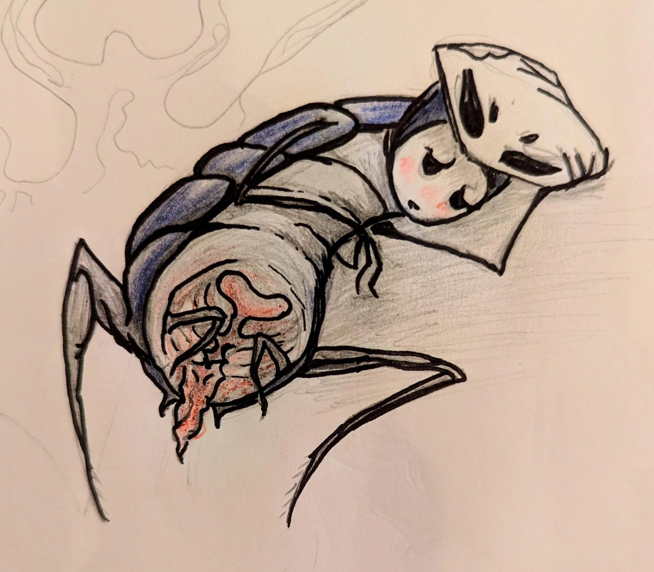 exploring Quirrel's isopod anatomy (aka stupid sexy Quirrel) by me