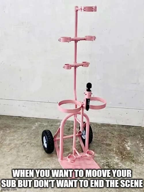 It even comes in pink for the girlies.