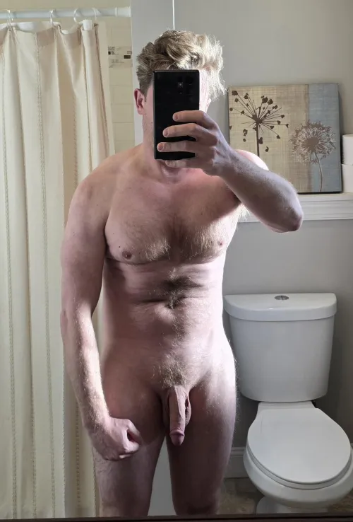 Shining in the sunlight 