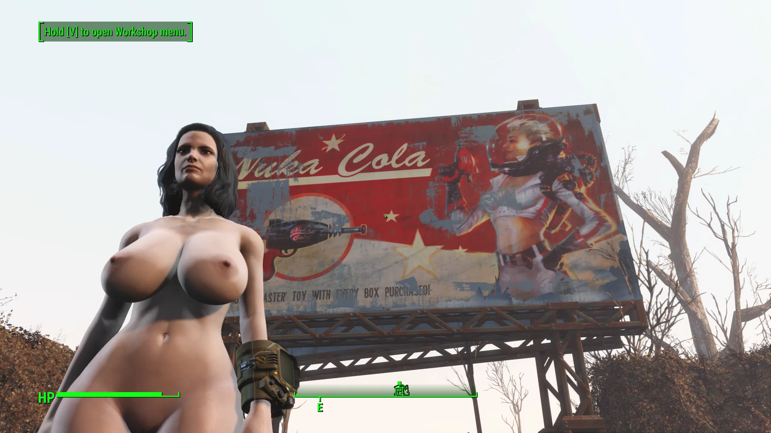 That time I made a FO4 character 1 month after launch resembling my breasts