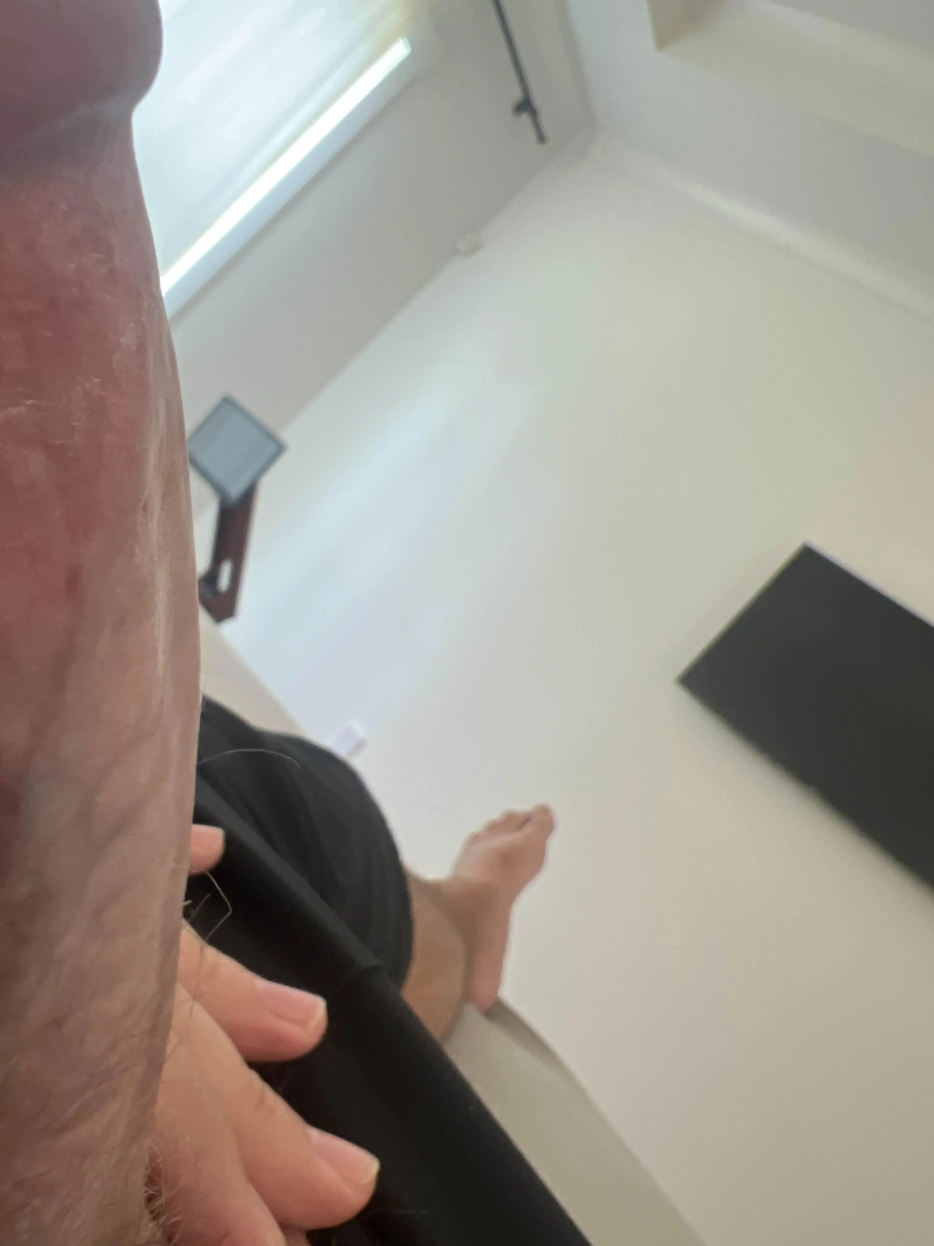 38M4F Westminster fun anyone?