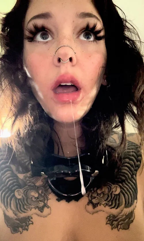 Be a good boy and catch it?