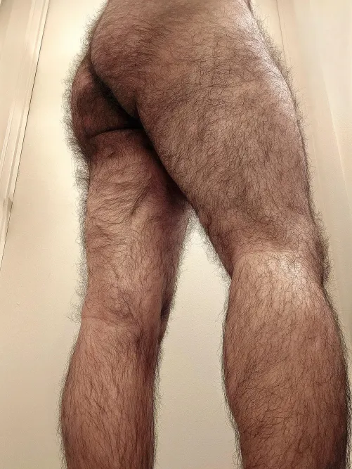 Hairy Everywhere 