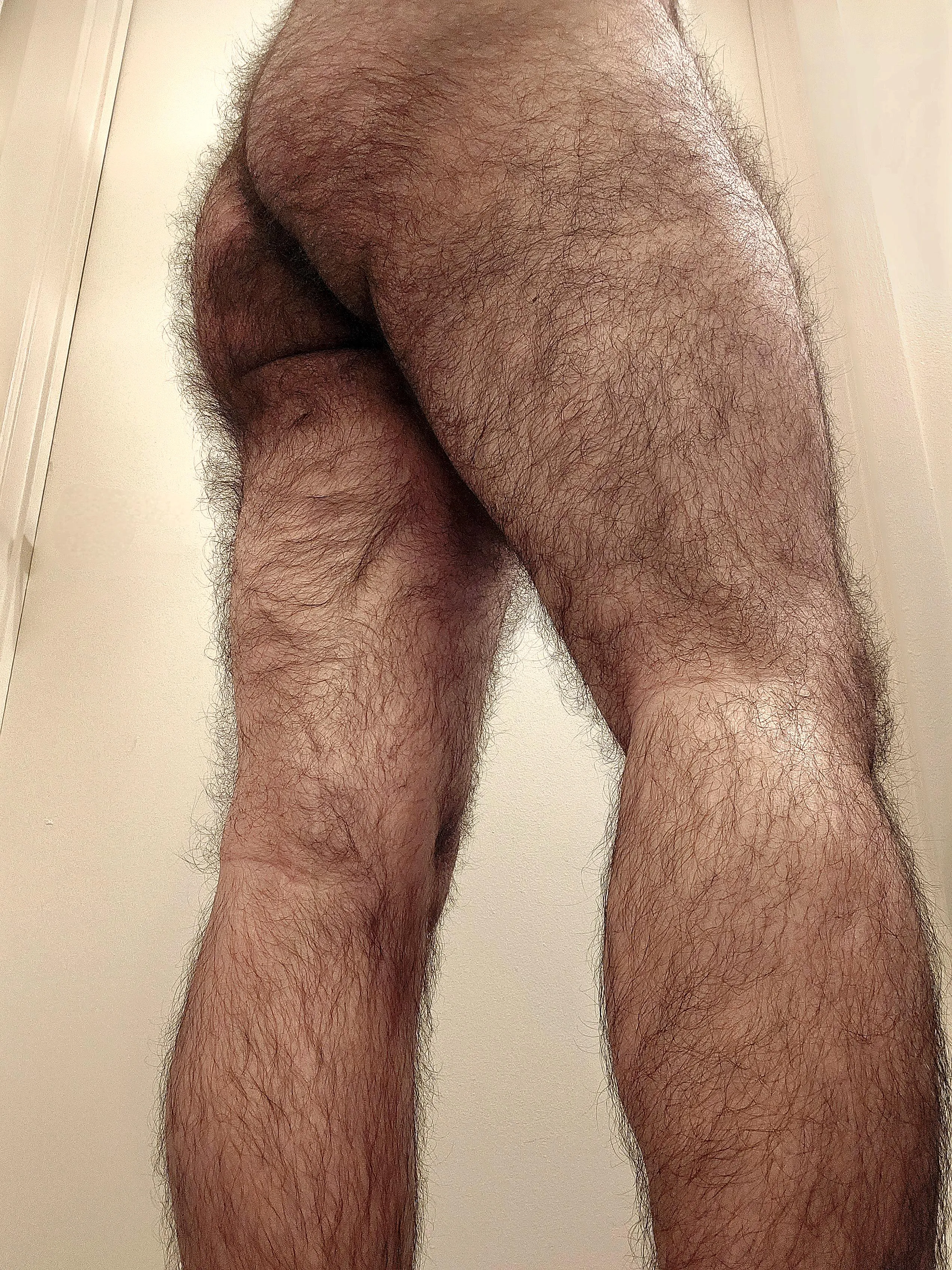 Hairy Everywhere 
