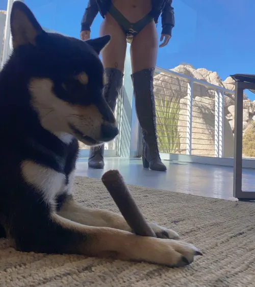 Jessica with her dog