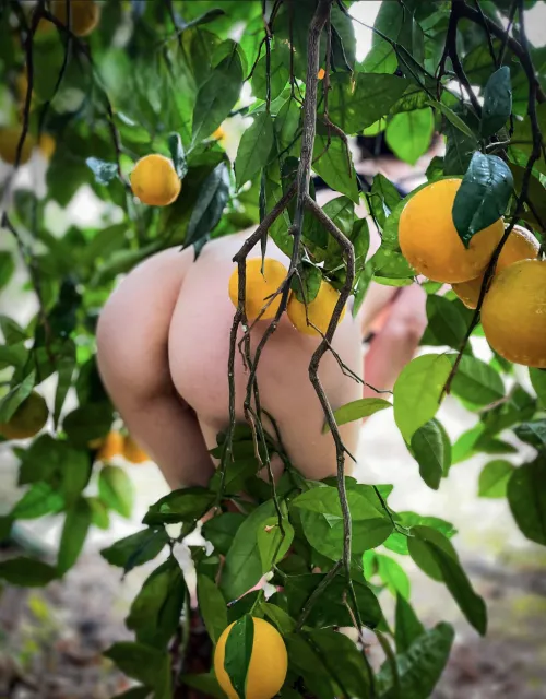 When life gives you lemons ...