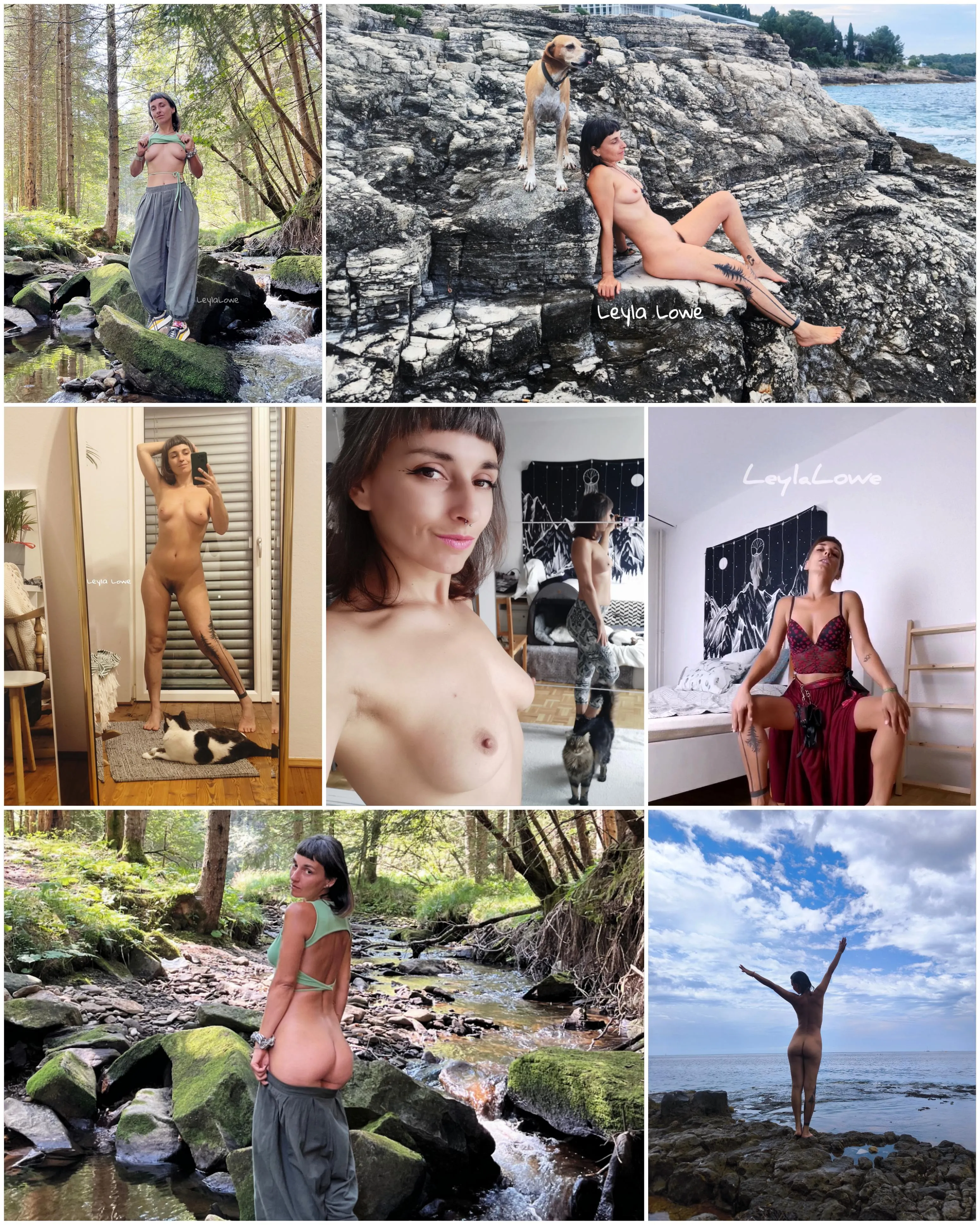 Animals, nature and nudes