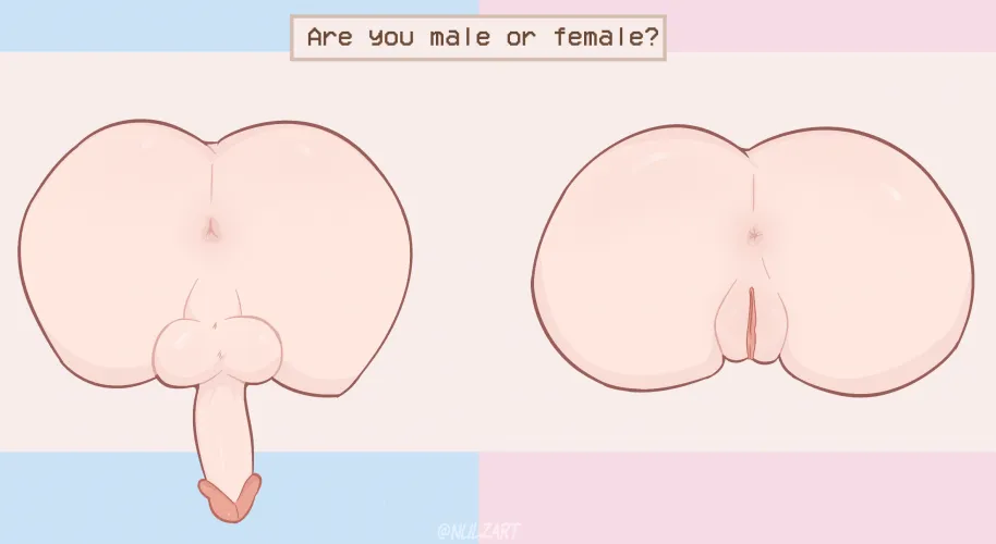 I think I downloaded the wrong game..