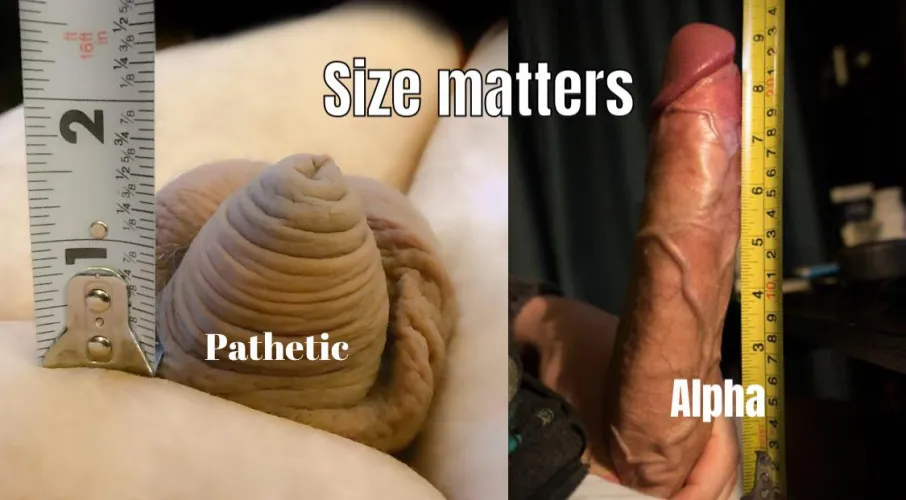 Size matters, know your place sissy