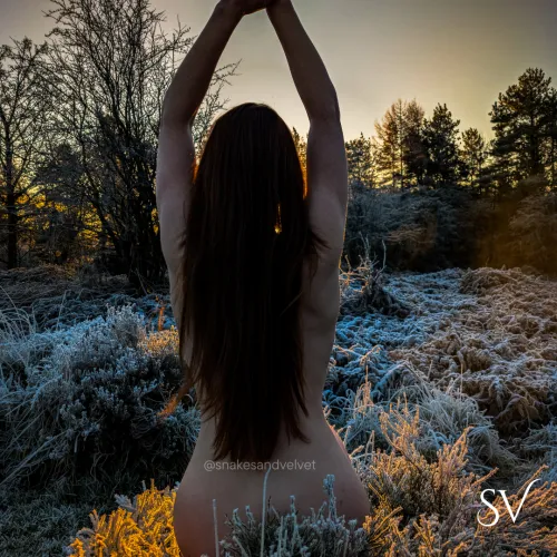 Weave me into the liquid fire of a sun kissing frost