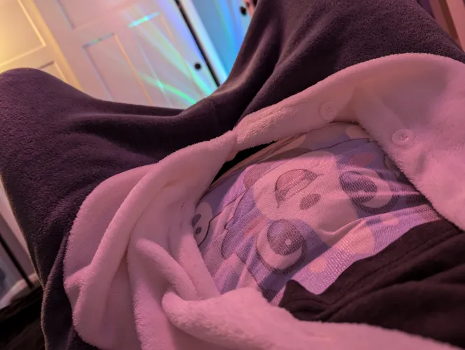 Wolf and a puppy all at once