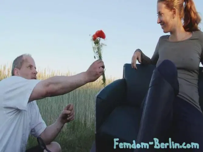 After hearing what happened to my bestie, I send a messenger pig with a Get Well Soon flower bouquet.  It may be a holiday, but messenger pigs never get a day off.