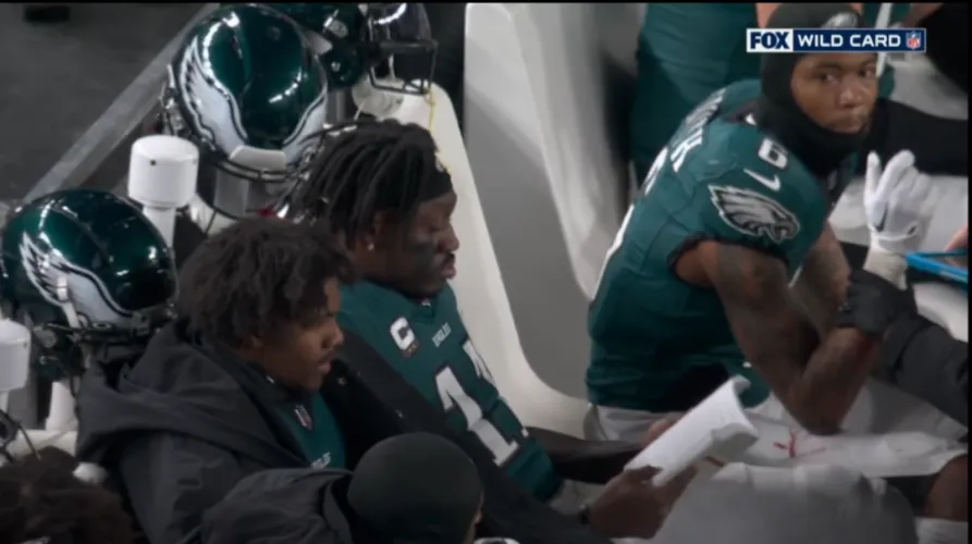 Can you really call yourself a reader if you're not doing it on the sidelines mid game during the playoffs?