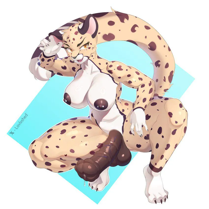 Kira sharpovich (lovlxshed)