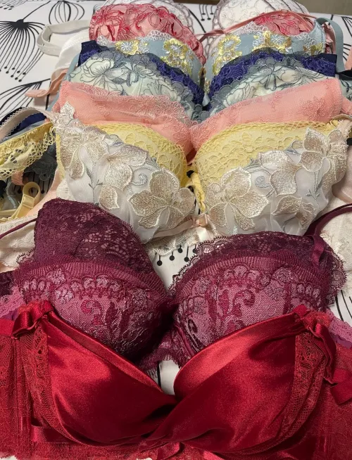My wife’s bra 