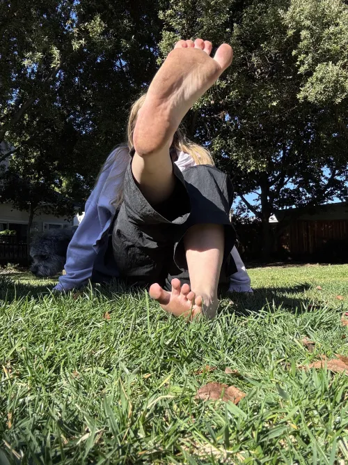 Need a sub to clean these for me 