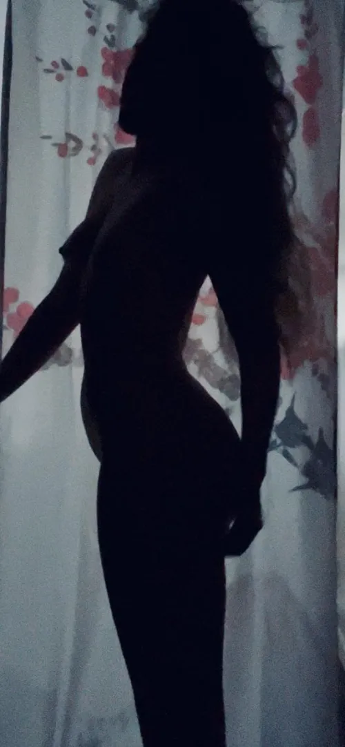 Nighttime silhouette 