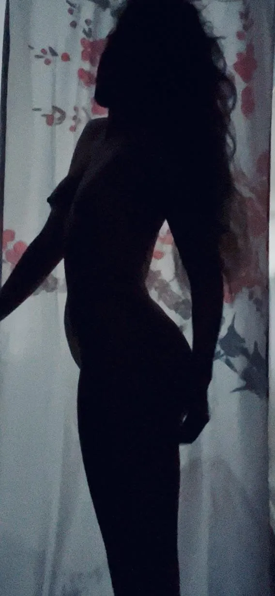 Nighttime silhouette 