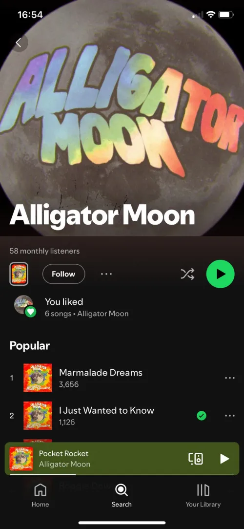 Very good band not many people have heard of 