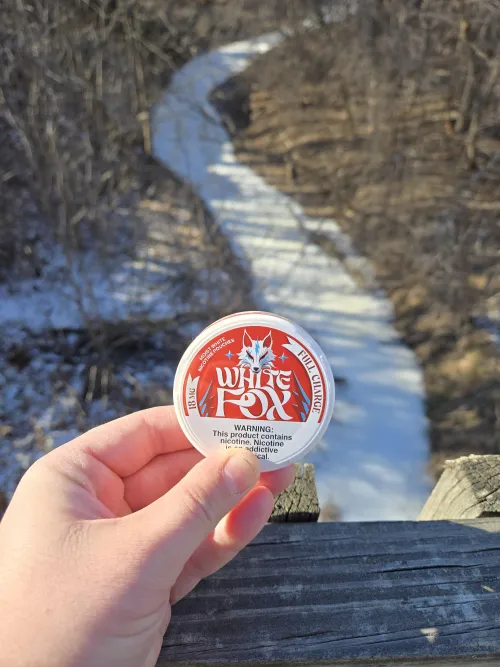 White Fox Full Charge