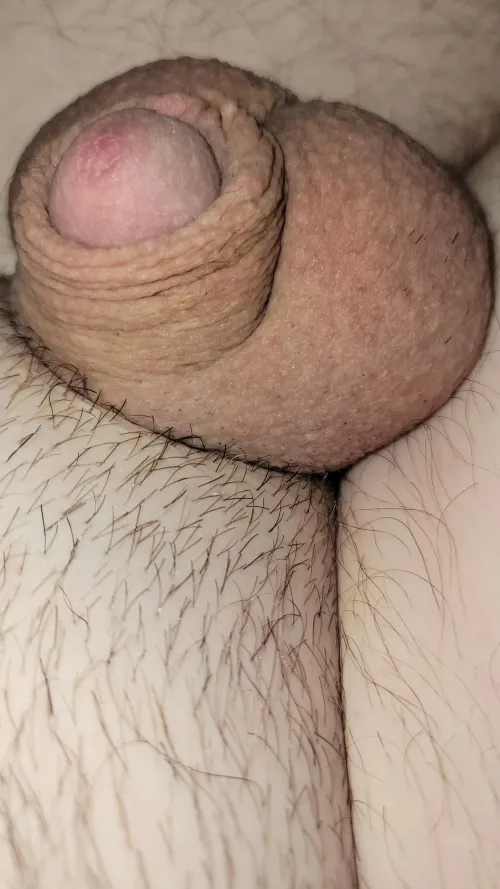 (43) make it flop dm open 