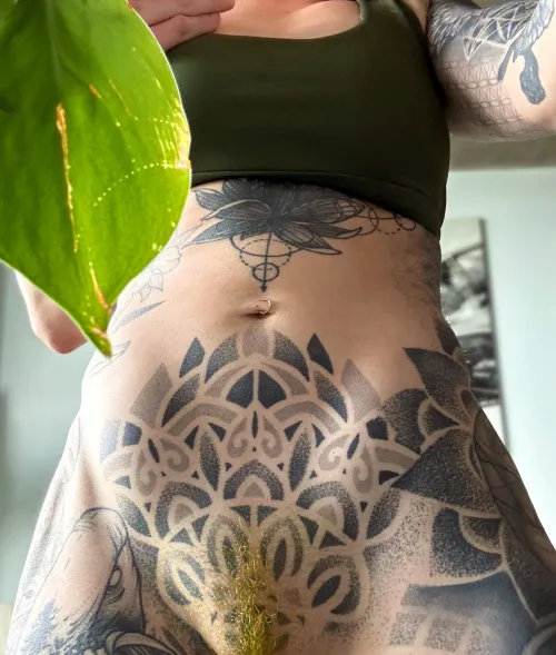 The less than stellar results from my dye job