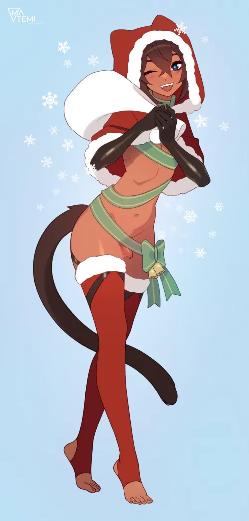 Delivering packages this Christmas (Matemi)