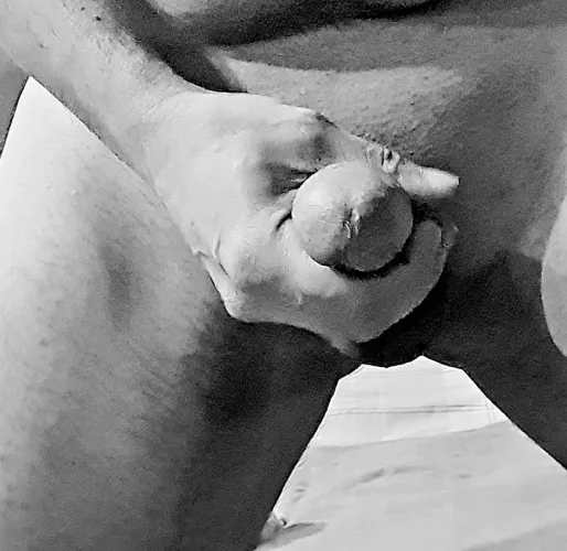 Estou pronto. E vocês, Ladies', estão?