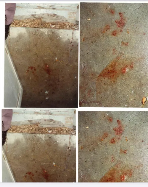 Help me prove my mother didn’t shoot herself