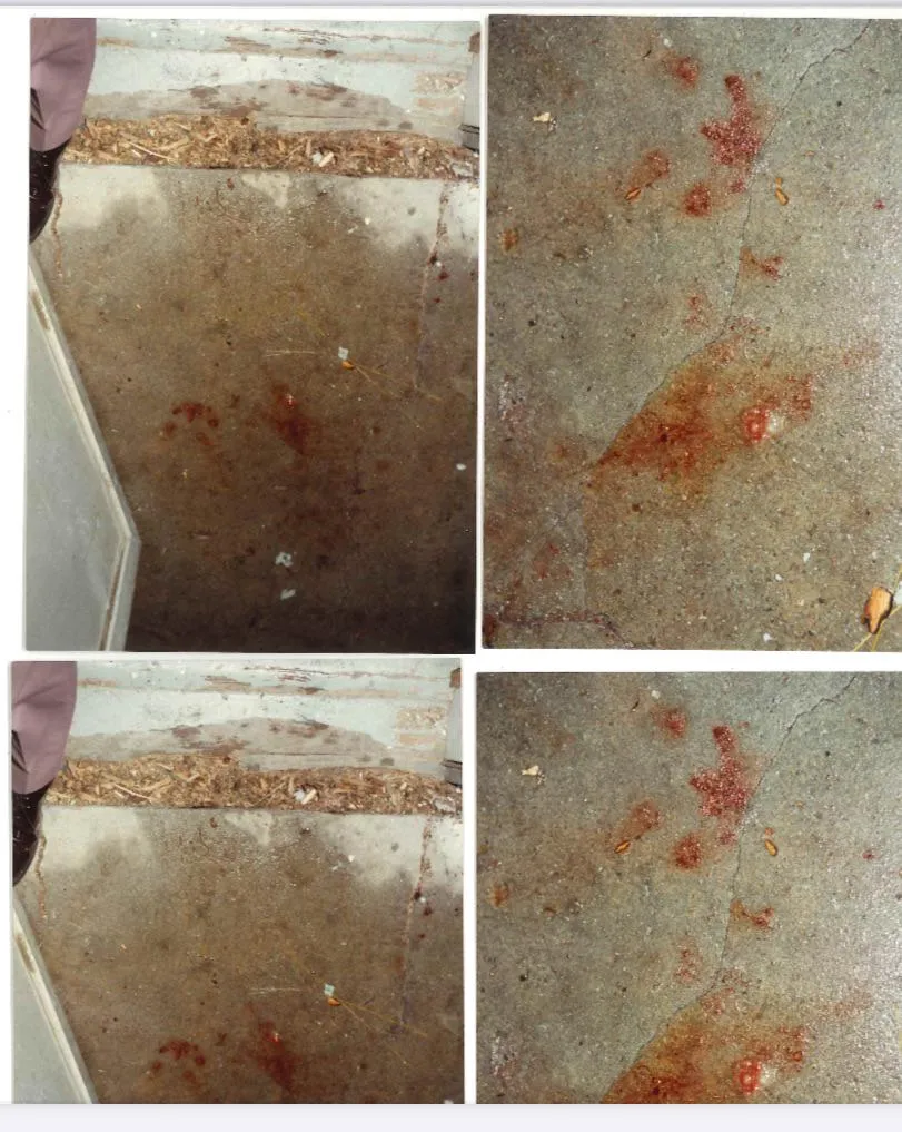 Help me prove my mother didn’t shoot herself