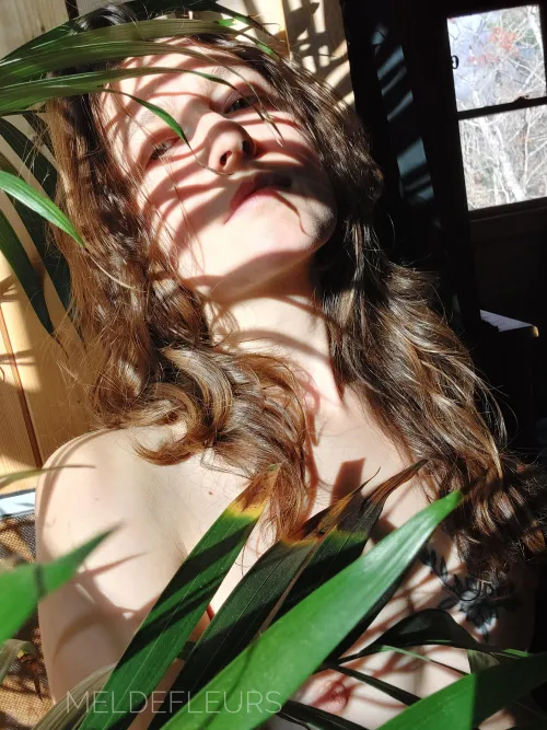 Always behind plants