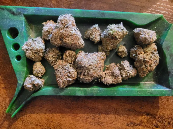 Handcrafted Biscotti