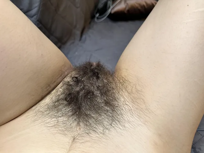 Is a hairy muff sexy