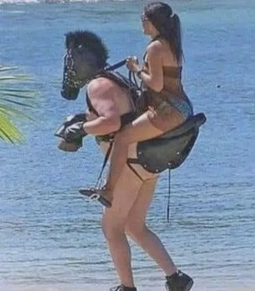 Is this too much to ask for?