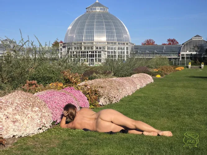 Splendor in the Grass