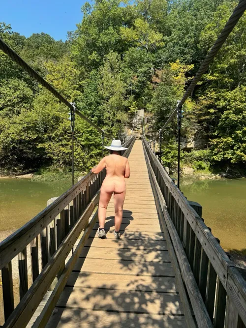 Suspension Bridge at Turkey Run State Park.  Indiana 