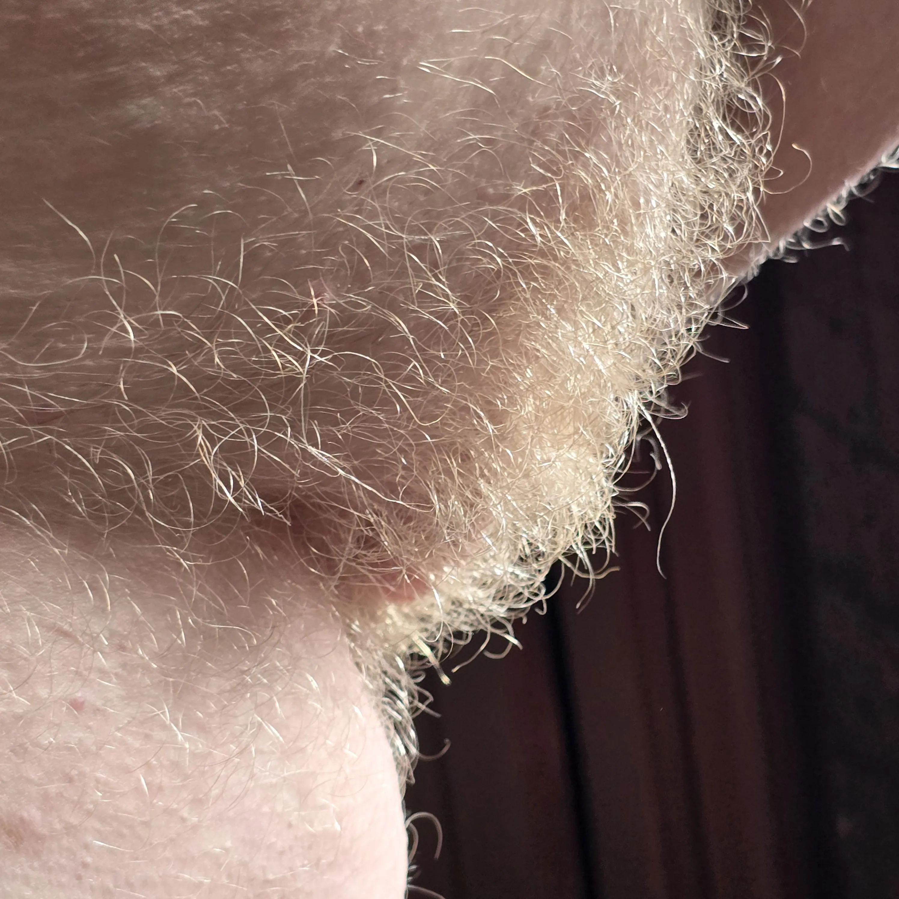 The very definition of a blonde!