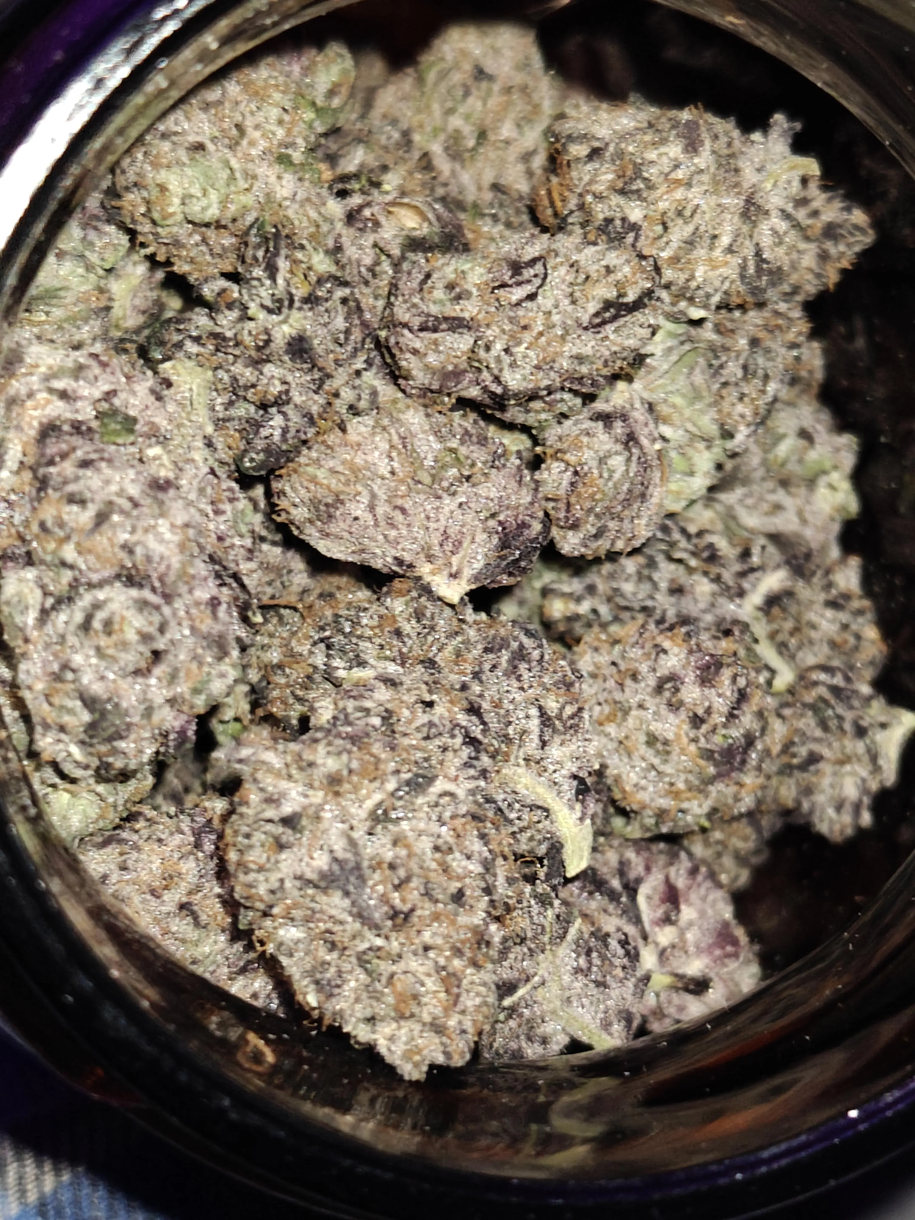 Thoughts on purple? Do you like solid purple bud, mixed green purple throughout the bud?
